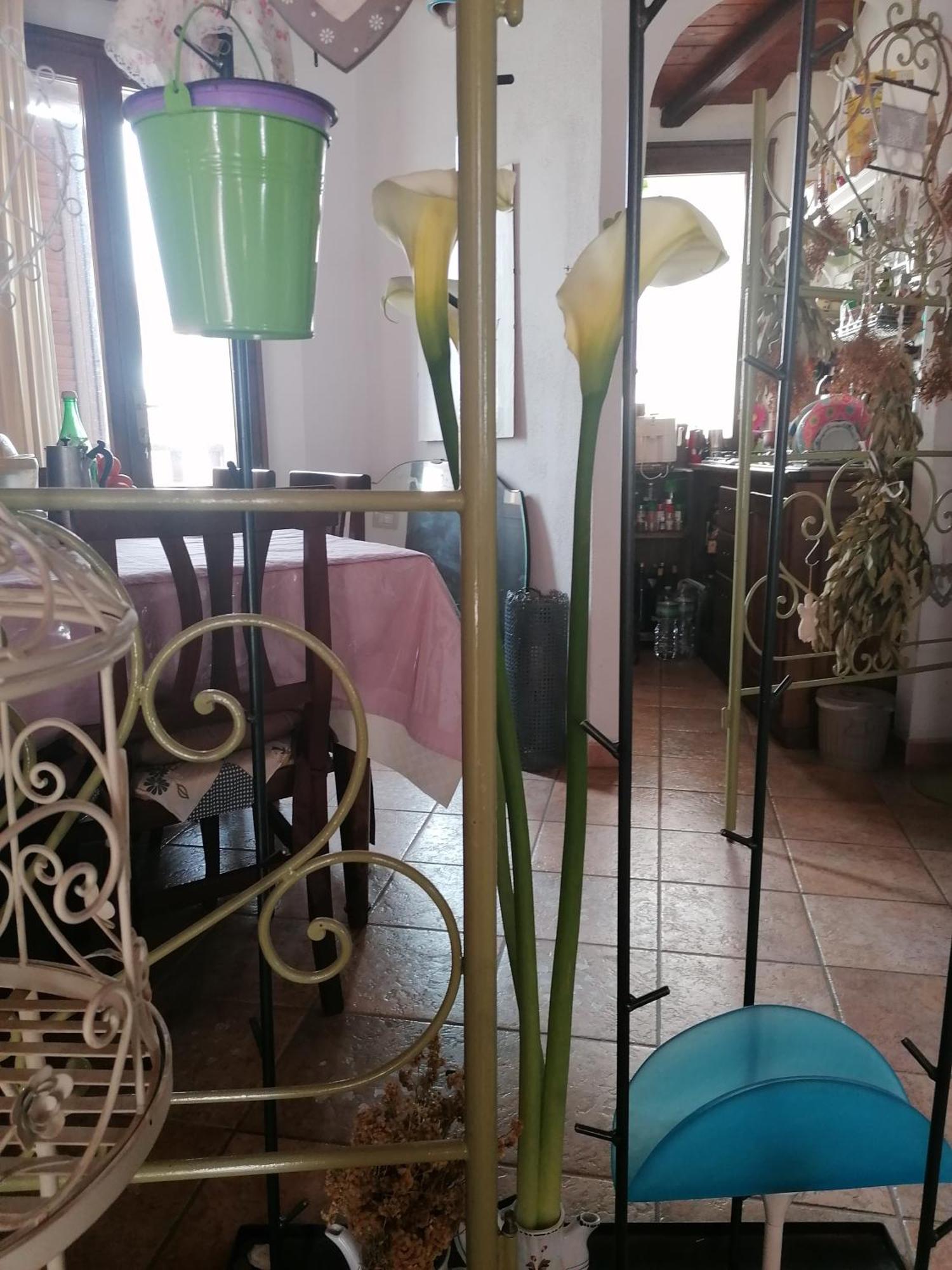 B&B Casacori 오로세 외부 사진